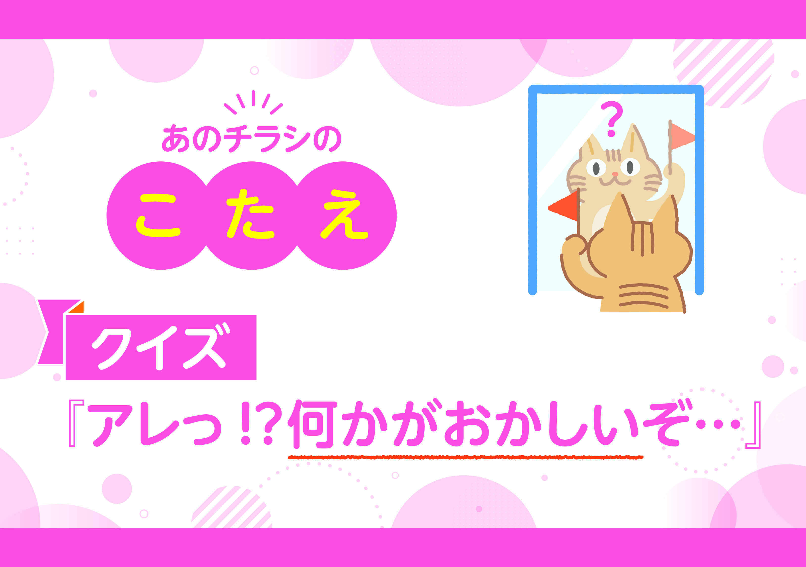 「あのチラシのこたえ」です
